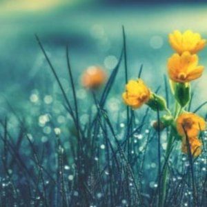 Meet your Posher, Shahada